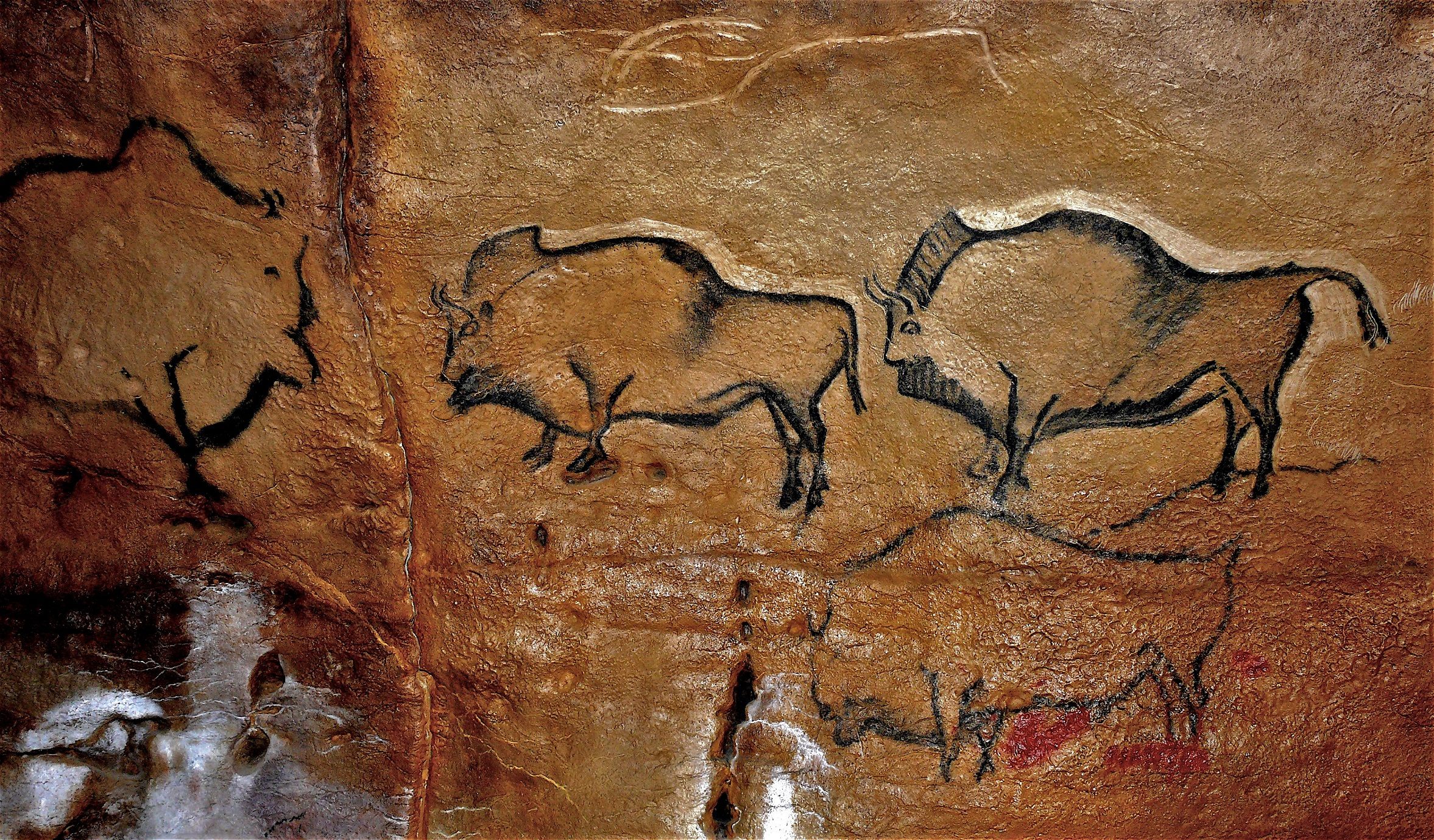 Panel painted with figures of bison in the cave at La Covaciella in northern Spain, an area of research for archaeologist Chris Scarre.