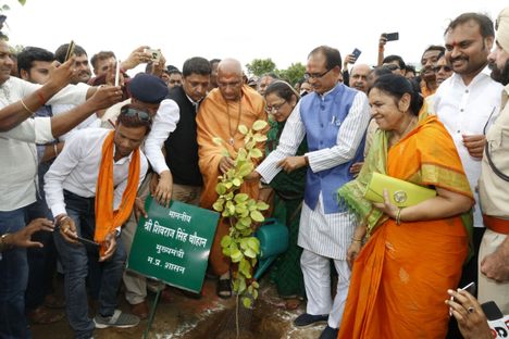 Volunteers in India Planted 66 Million Trees in One Day