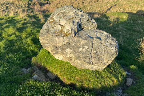 Tooth Stone