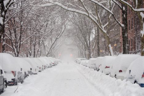 Brooklyn under the snows of 2016.