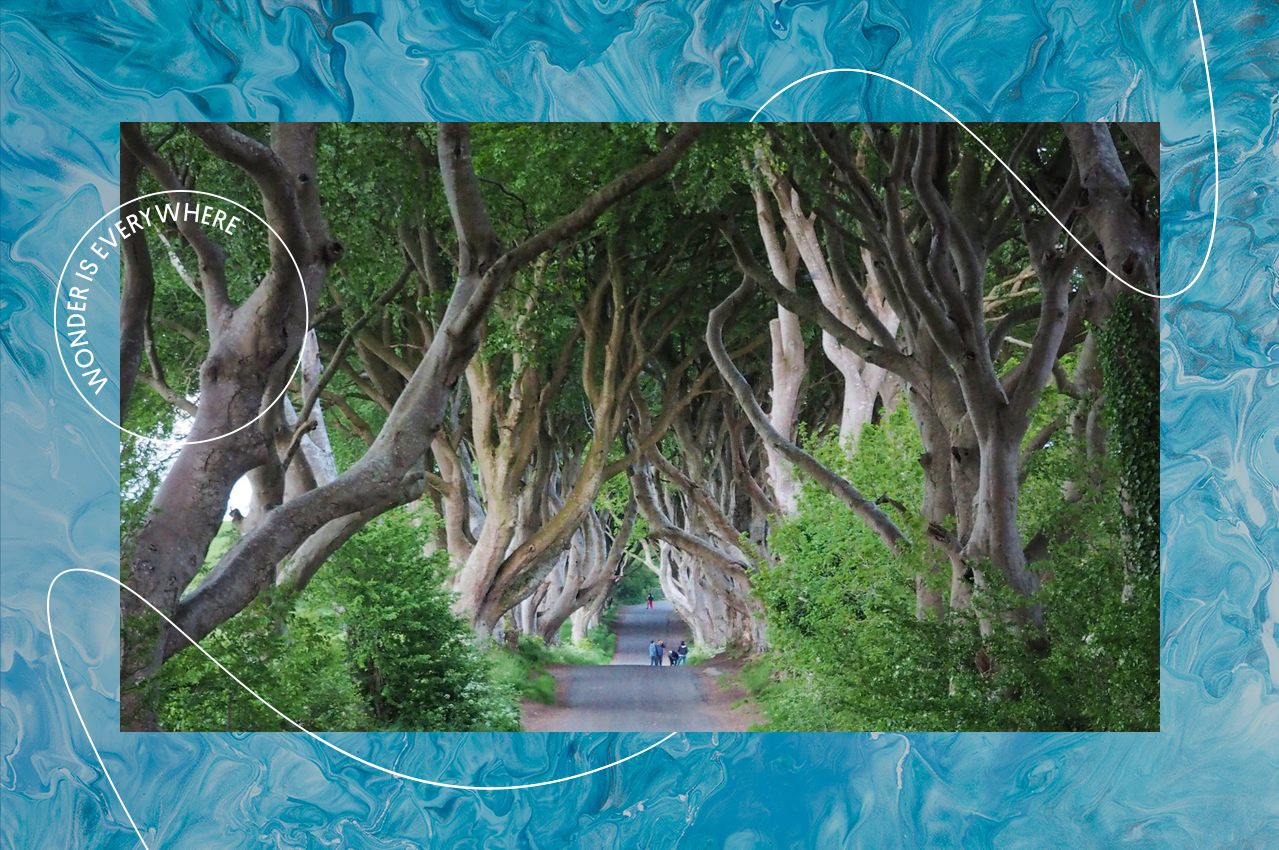 A popular tourist destination since becoming a filming location for Game of Thrones, The Dark Hedges is a road enveloped by beech trees in County Antrim, Northern Ireland. 