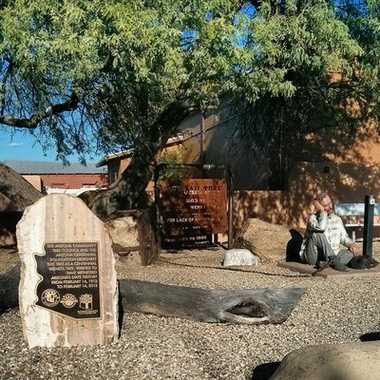 Wickenburg Jail Tree