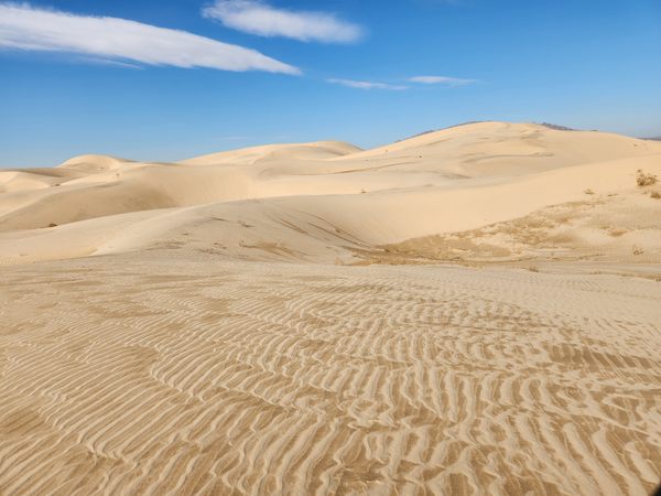 Cadiz Dunes Wilderness Area in San Bernardino County, California