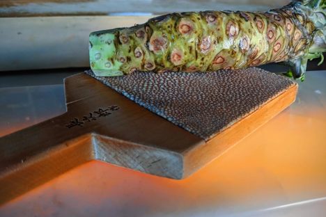 Sharkskin Wasabi Grater