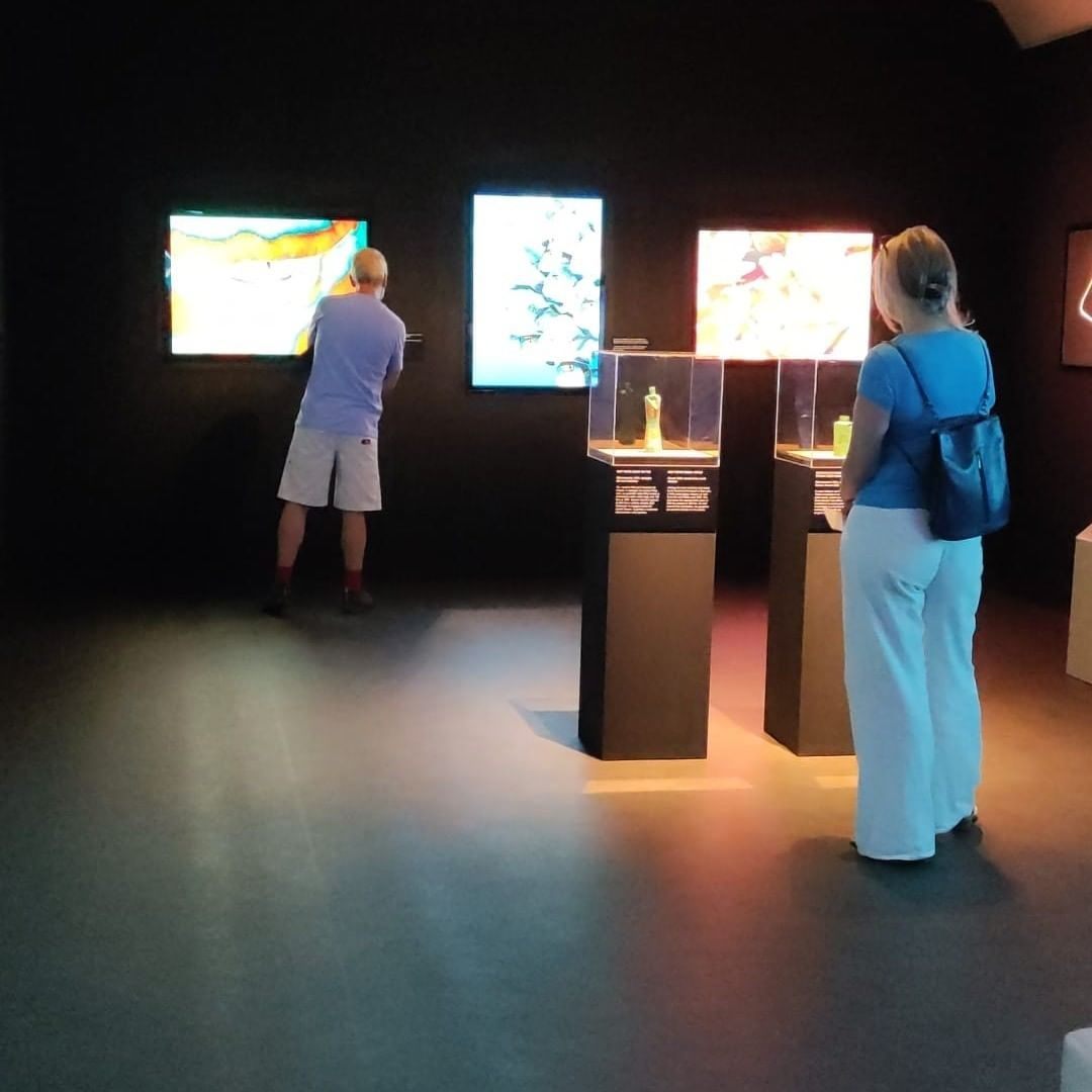 Archeoplastica’s objects went on display in Pisa’s Palazzo Blu as part of the <em>Oceans, the Last Frontier</em> exhibition in spring 2022.