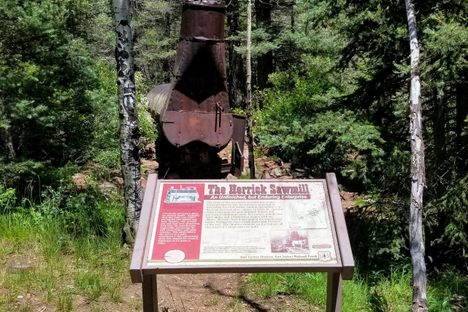 The Herrick Sawmill