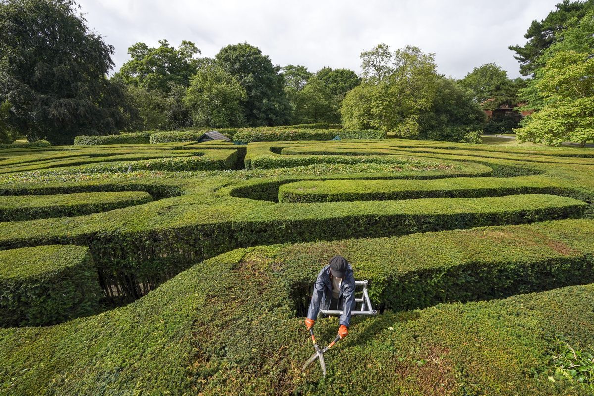 Hampton Court Palace gardener Gemma Hearn makes a final trim of the garden's maze in Surrey in 2021.