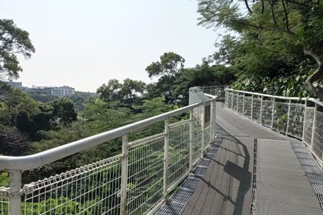 Baguashan Skywalk