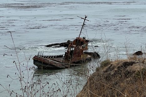 Estero Bluffs Shipwreck