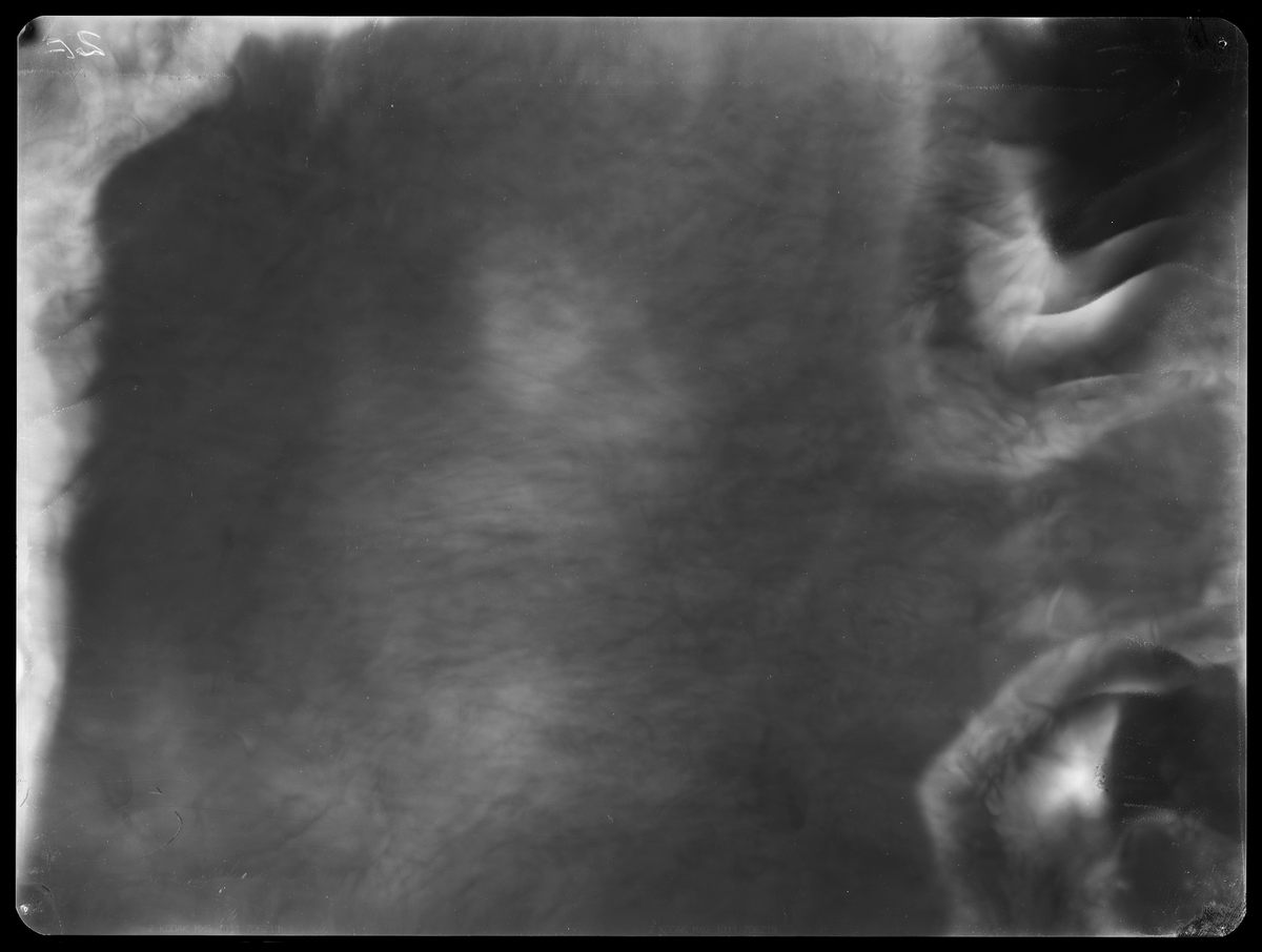 Alice Miceli, <em>fragment of a field V - 9.120 µSv (07.05.09 - 21.07.09)</em>, backlight, radiographic negative.