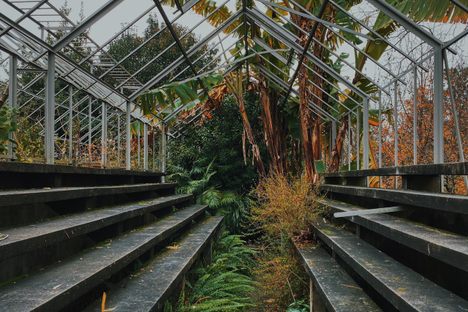 Jardim Botânico do Porto (Porto Botanical Garden)