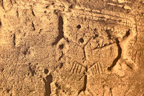 The petroglyphs (picture taken from the site’s official booklet).