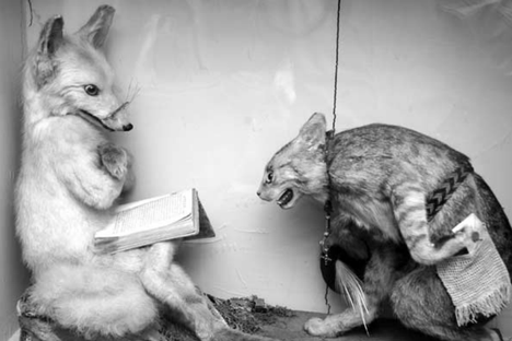 Anthropomorphic Taxidermy: How Dead Rodents Became the Darlings of the Victorian Elite