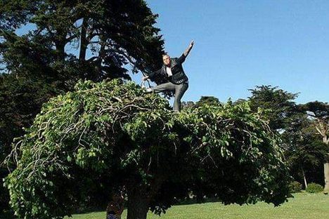 Tree Yoga