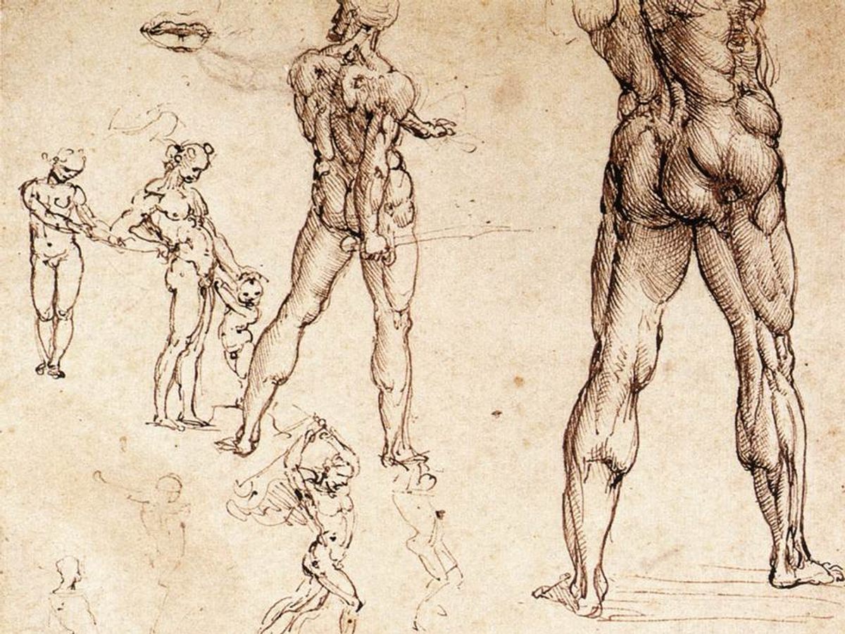 This anatomical study was among the drawings surveyed in the study.