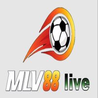 Profile image for mlv88live