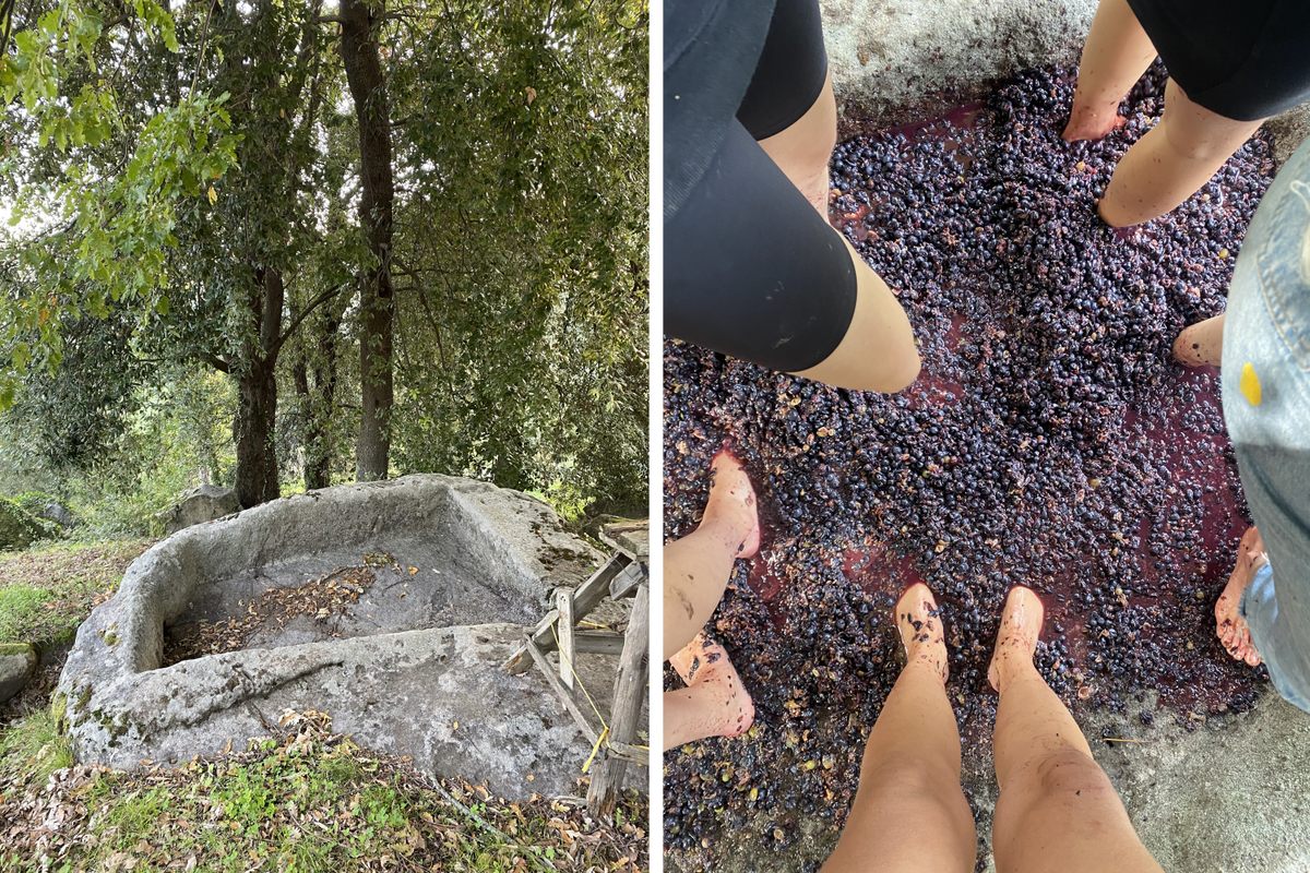 Horton has used the stones on her property to make wine.