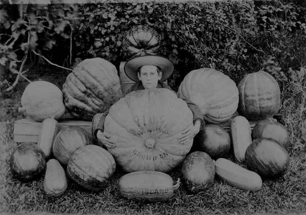The world of competitive pumpkin growing has come a long way since 1901, when this giant pumpkin weighed a mere 91 pounds.