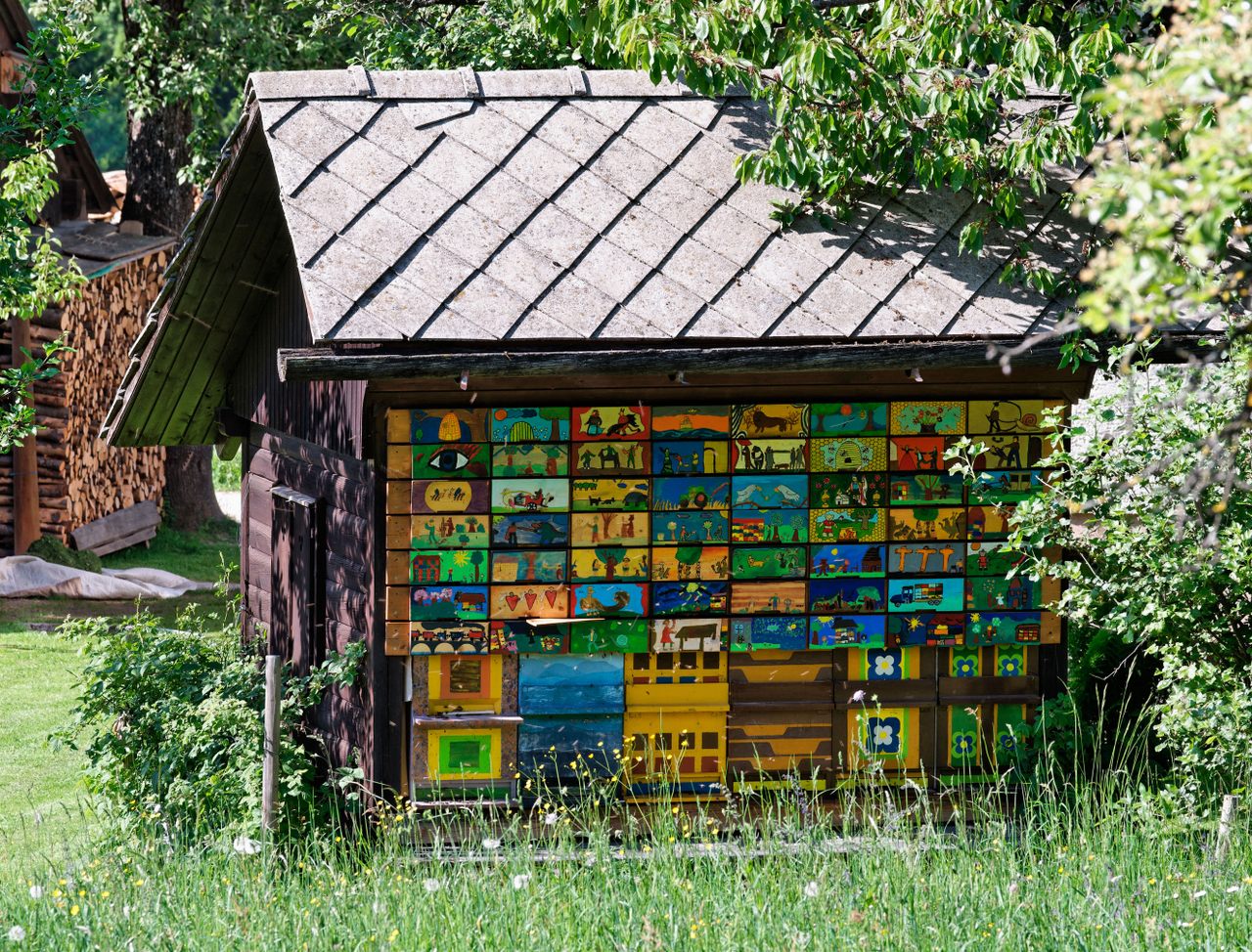 The panels on every AŽ hive house tell a story.