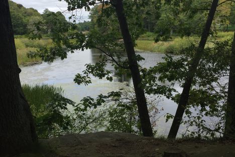 Milne Nature Sanctuary