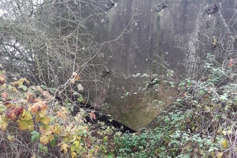 The Concrete Barge at Winthorpe Lake