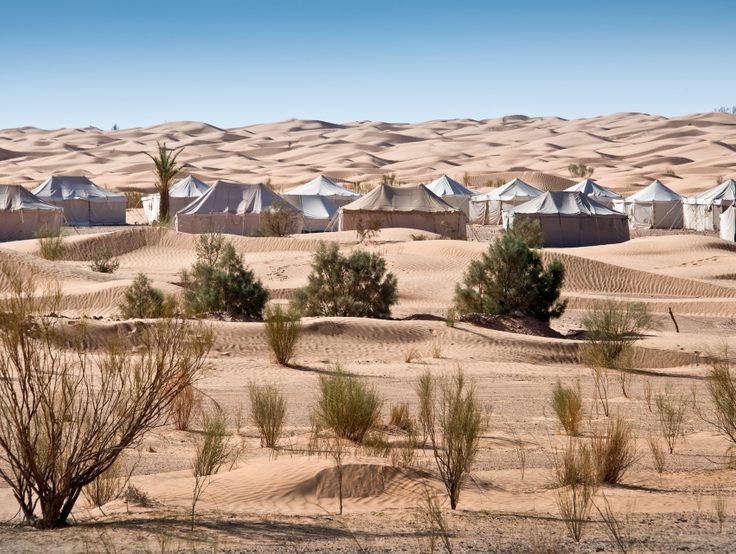沙漠帐篷营地
