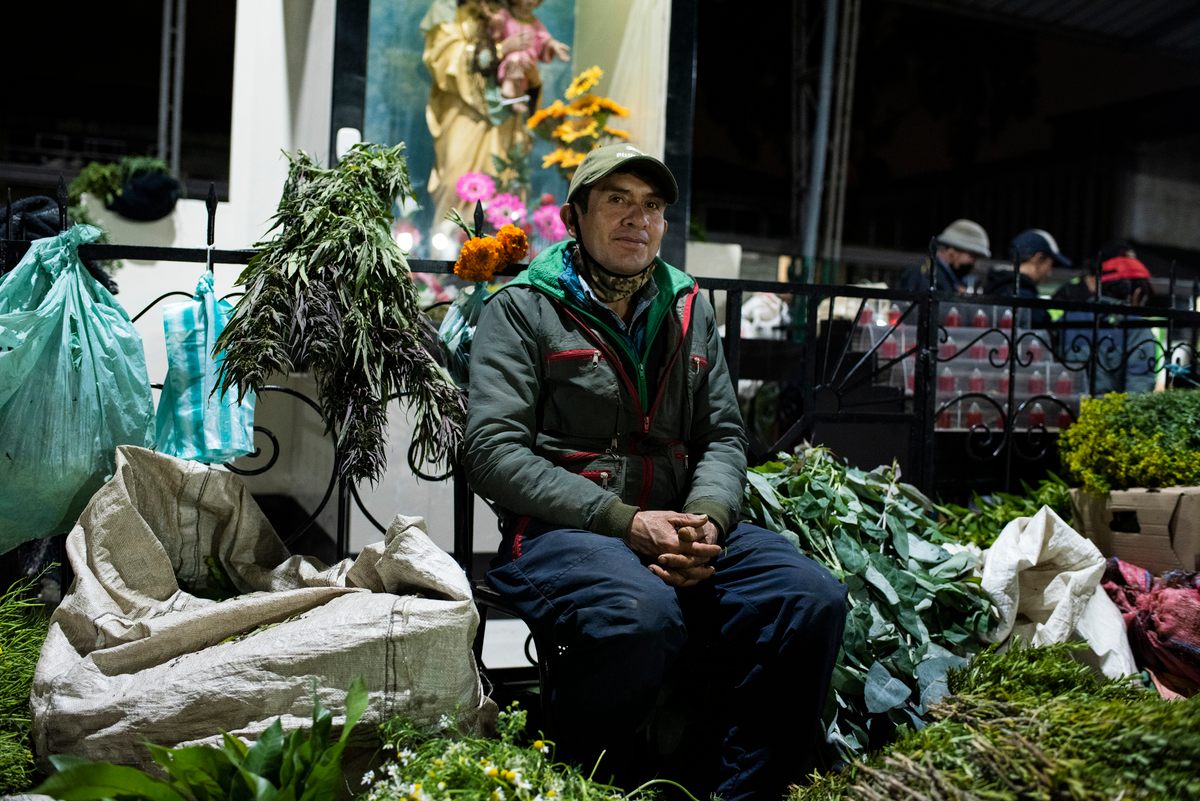 Longtime farmer and night market vendor Rodolfo Pedraza specializes in temperate and cold climate plants.