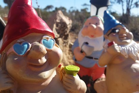 BallaGNOMEia