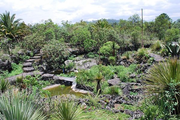 The Lava Garden, planted on volcanic rock from an ancient volcanic eruption.