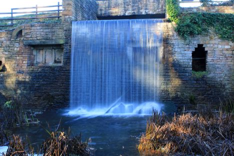 Stew Pond at Newstead Abbey