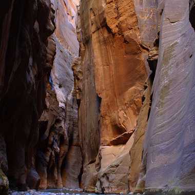 The "Wall Street" section of Zion Narrows in Zion National Park
