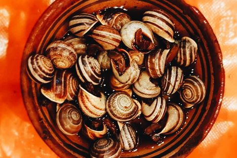 Moroccan Snails