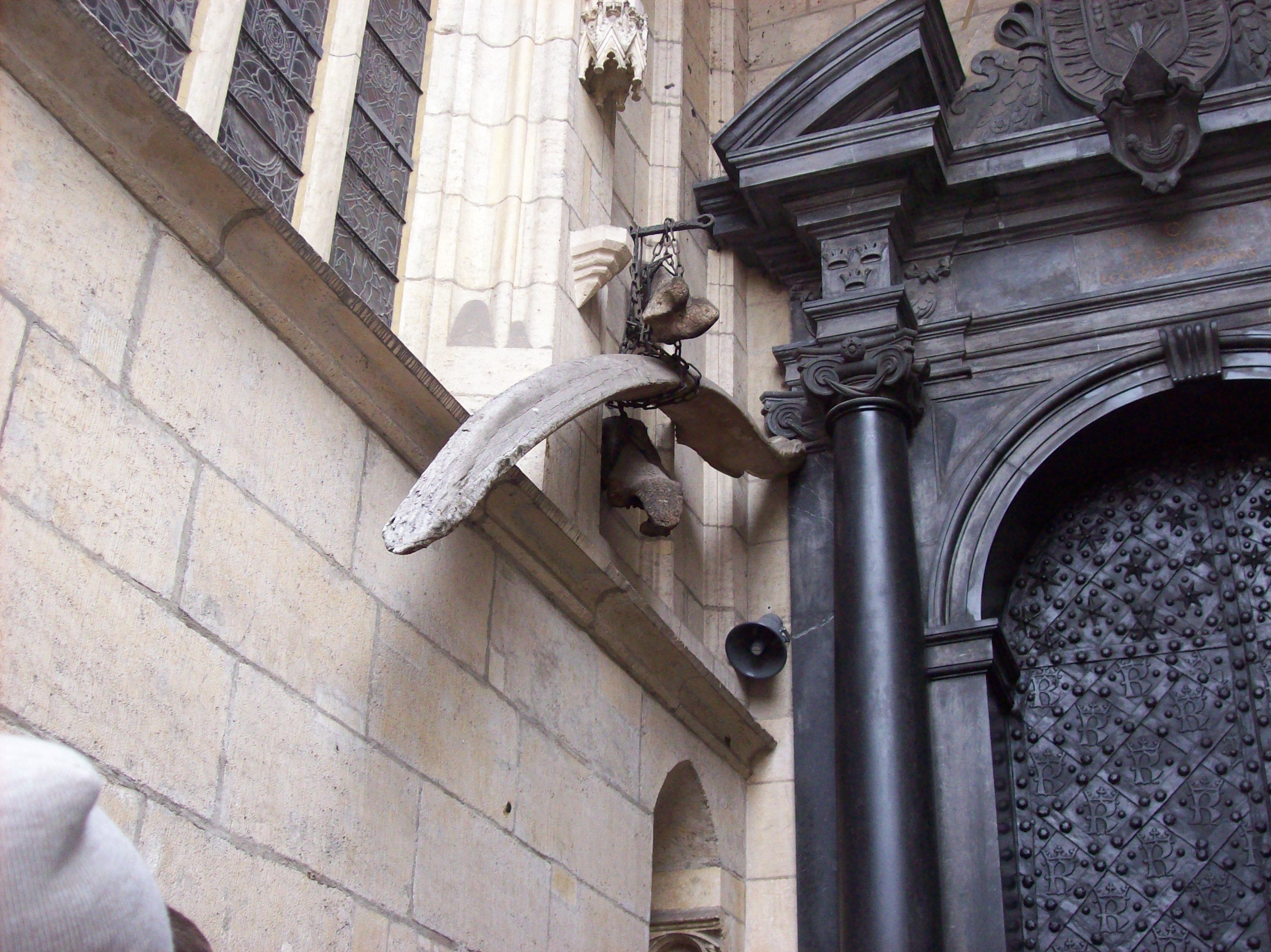 The bones of the Wawel dragon.