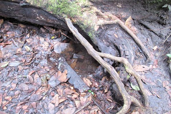 The source of the mighty Zambezi River.
