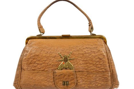 Is a fly is an odd decoration for a purse? Not when it hides the lens of a camera. 