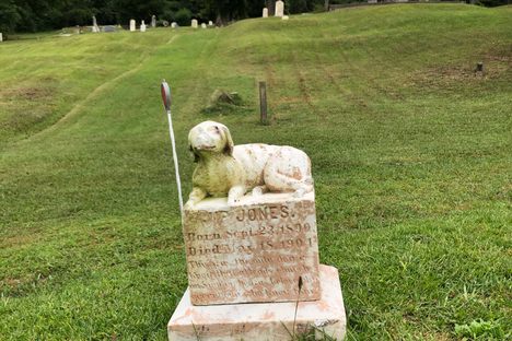 Pine Forest Cemetery 