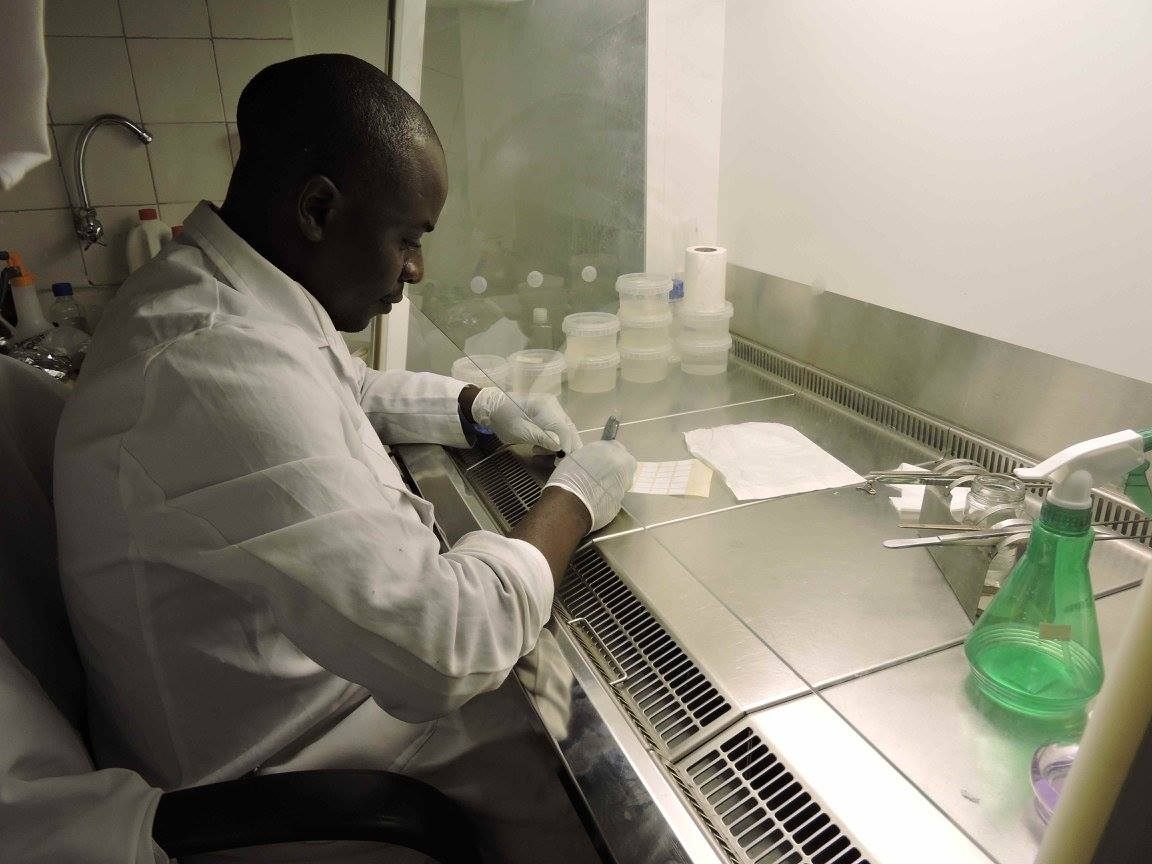 Researcher Mpande Sichamba works in the CBU laboratory.