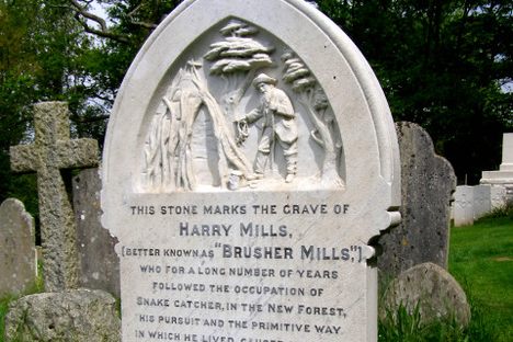 Brusher Mills Grave