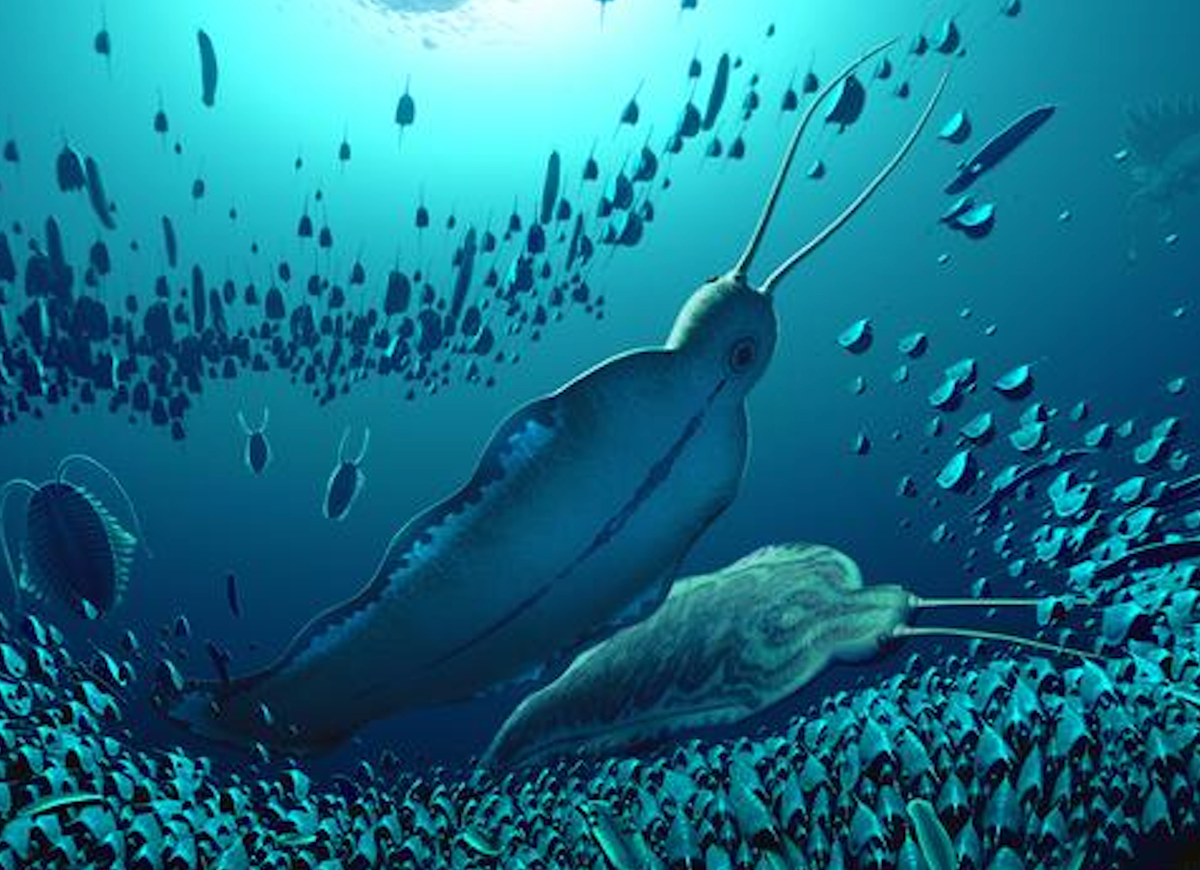 Half a Billion Years Ago, These Mysterious ‘Terror Beasts’ Ruled the Seas