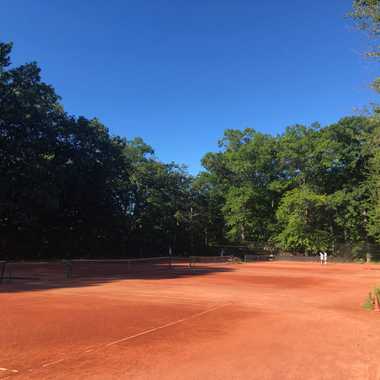 Red clay, green trees and blue sky on an August morning. !