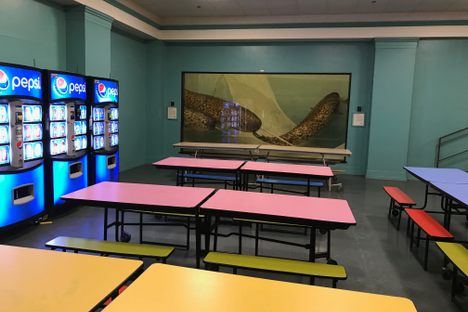 The narwhals live next to the vending machines.
