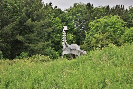Teessaurus Park