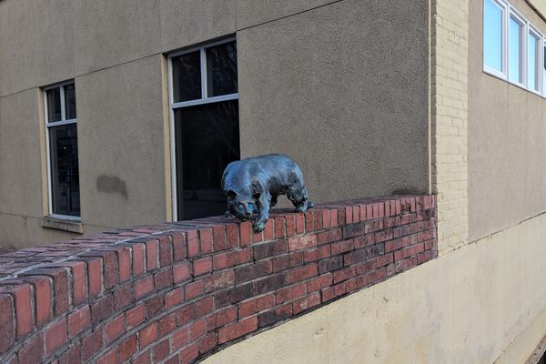 One of three bronze cats that populate Asheville’s Cat Walk.