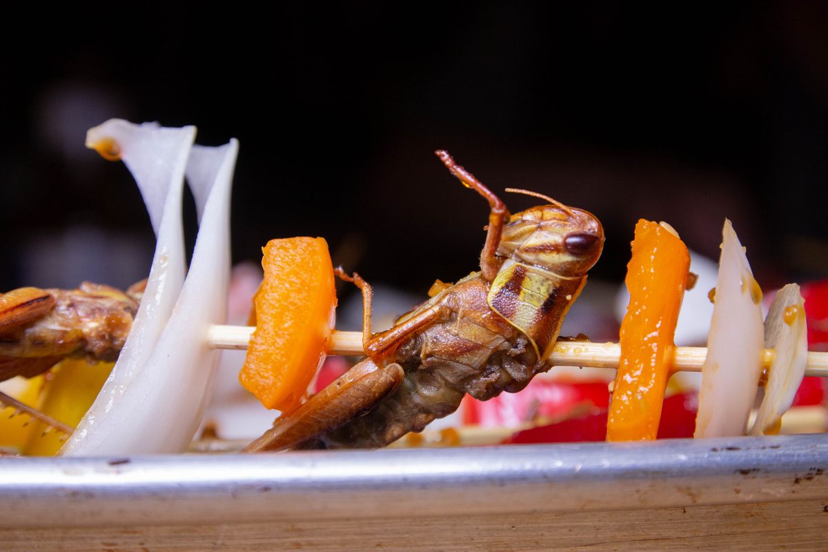 Grasshopper kebabs.