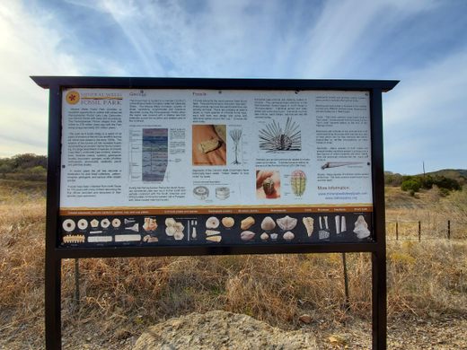 Mineral Wells Fossil Park – Mineral Wells, Texas - Atlas Obscura