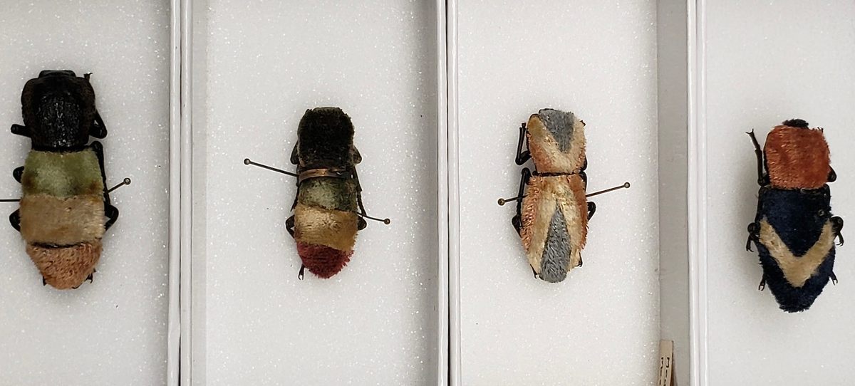 Four of the collection's beetles were completely covered in fabric and had no chains.