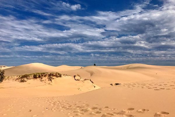 Footprints on the dunes.