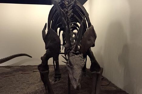 Stegosaurus.
