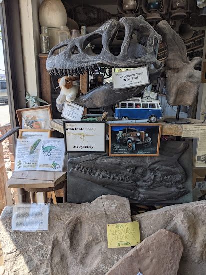 The rock fossil and dinosaur 2025 shop