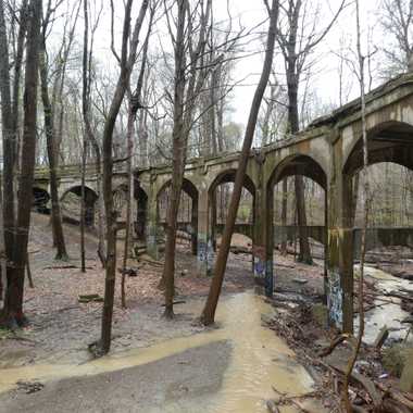 The Hillandale Bridge from the ravine.